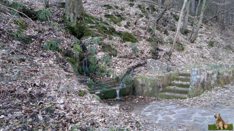 Ritterstein Nr. 243-4 Wetzbrunnen.JPG - Ritterstein Nr.243 Wetzbrunnen